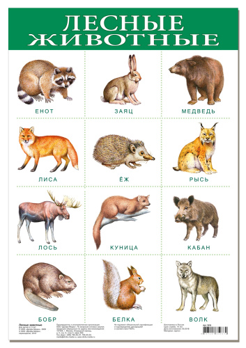 ������. ������ ��������.