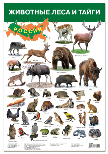 ������. �������� ���� � �����