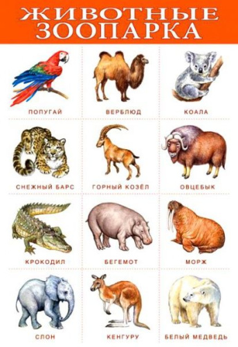 ������. �������� ��������.