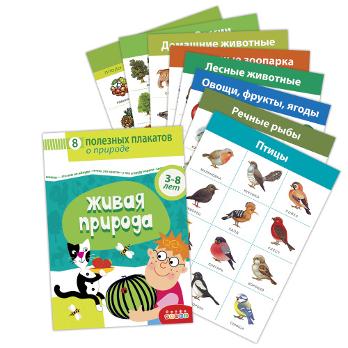 �������� ��������. ����� �������