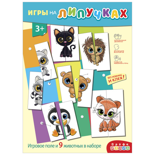 ���� �� �������� � ���������. ���������