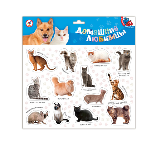 ������.�������� �������